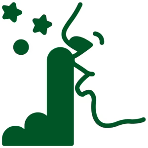 icon_policy
