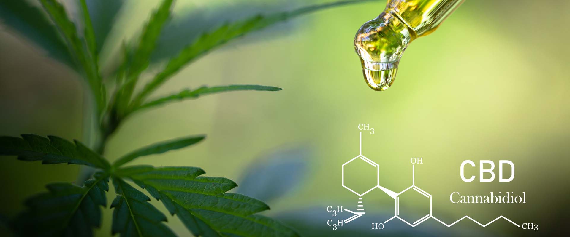 CBD | CBG | CBN
