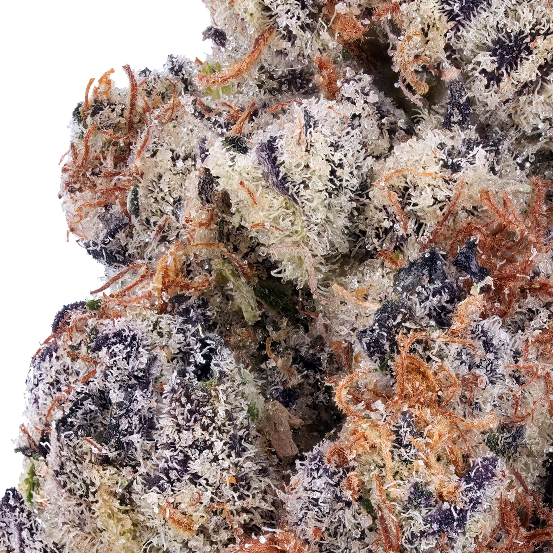 Alaskan Thunder F*ck THCa Flower - Exotic Indoor