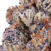 Alaskan Thunder F*ck THCa Flower - Exotic Indoor