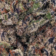 Blueberry Space Cake  THCa Flower - Exotic Indoor