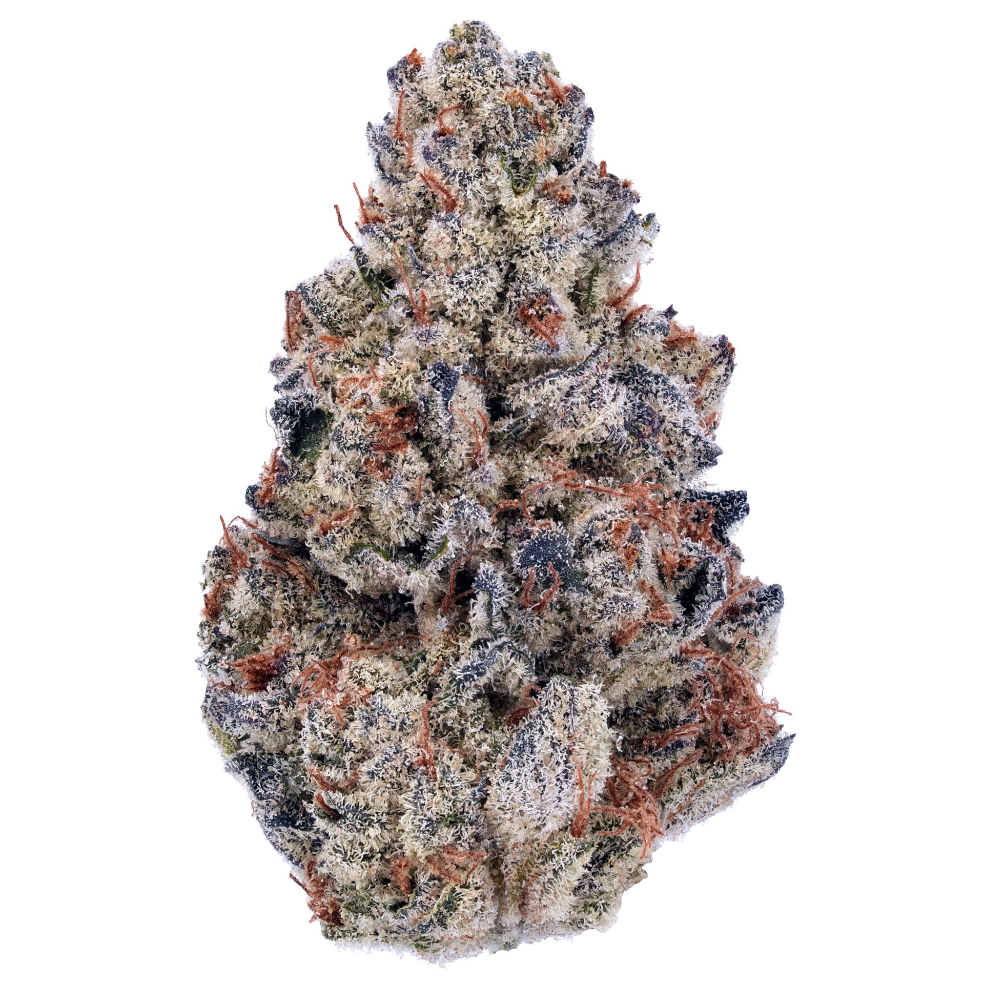 Cherry Chocolate THCa Flower - Exotic Indoor