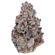 Cherry Chocolate THCa Flower - Exotic Indoor