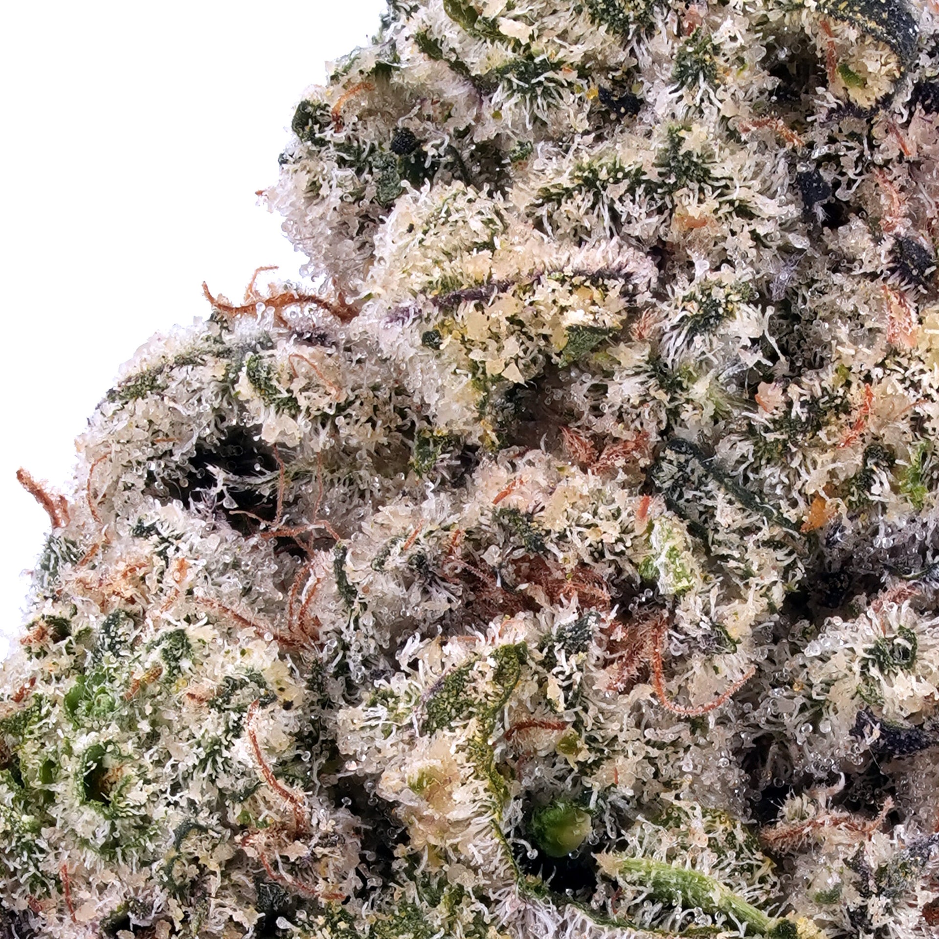 White Rainbow THCa Flower - Exotic Indoor