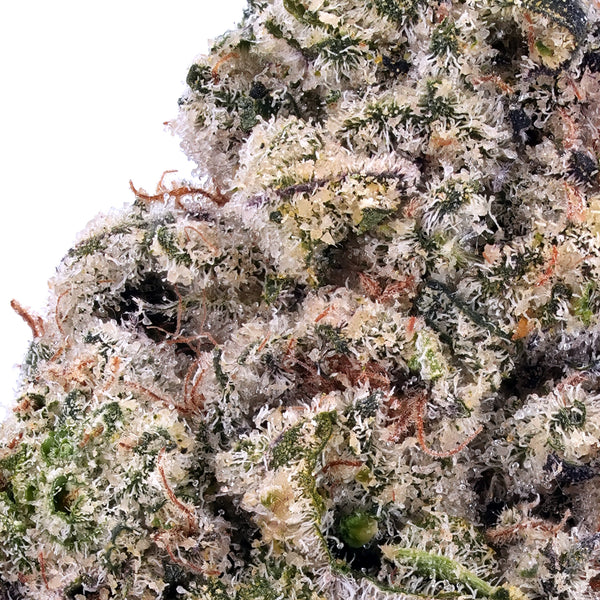 White Rainbow THCa Flower - Exotic Indoor