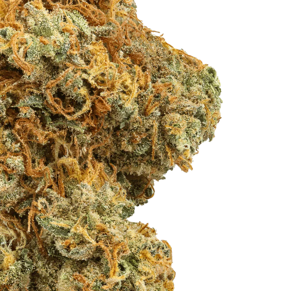 Raspberry Lemonade THCa Flower - Premium Smalls